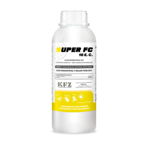SUPER FC 10 E. C.
